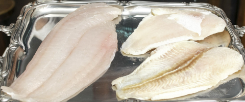 Anvisa proíbe venda de filé de peixe congelado da marca Qualitá