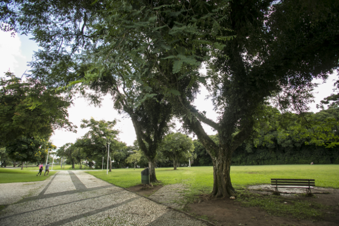 Parcão do MON. Foto: Marcelo Andrade/Gazeta do Povo