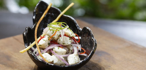 10 receitas com peixes e frutos do mar