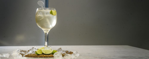 Aprenda a fazer um drink de gin tônica sabor capim limão