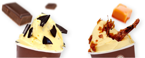 Freddo lança novos sabores e pede aos clientes escolherem qual fica no menu