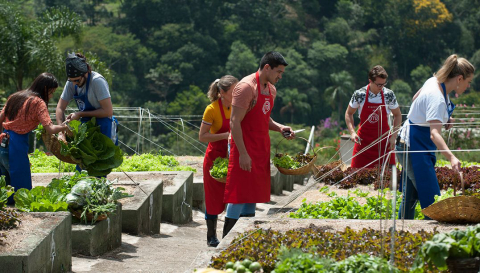 Participantes do Masterchef preparam menu orgânico para 50 pessoas