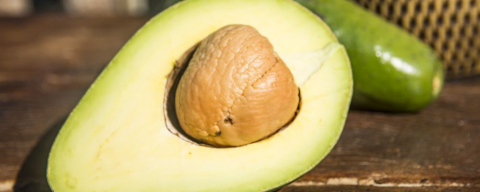 Avozilla: o nosso abacate chega à Austrália e choca os gringos