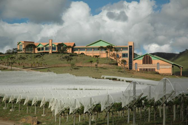 Vinícola Vila Francioni. Foto: Divulgação