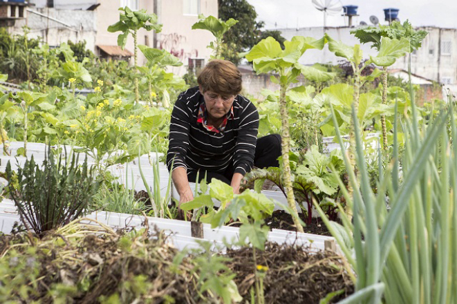 O programa Horta do Chef, lançado no ano passado pela Prefeitura de Curitiba, é finalista do World Smart City Awards, maior premiação de cidades inteligentes do mundo.Na imagem, Horta Comunitária Santa Rita IV.<br>Curitiba, 18/04/2018<br>Foto: Valdecir Galor/SMCS