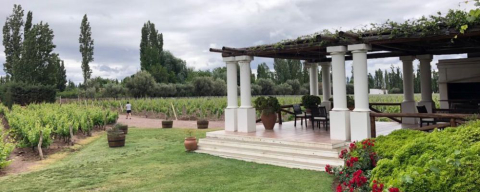 5 restaurantes de bodegas de Mendoza com vista para a Cordilheira dos Andes