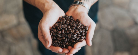 Como o aquecimento global pode acabar com o seu cafezinho