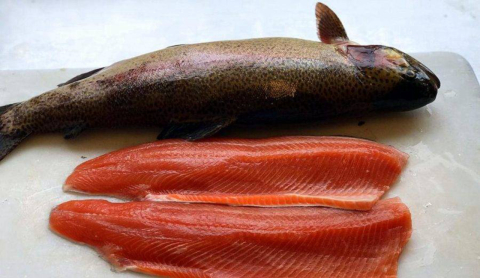 Chance única de provar a deliciosa truta salmonada. Tem festival no Mukeka