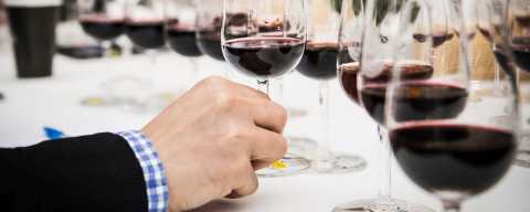 Competição exige que sommelier descubra uva, país e método de produção dos vinhos