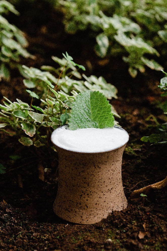 Gin Buck, drink da carta autoral do Frank Bar. Foto: Divulgação