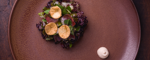 Salada de folhas com peito de pato curado, melão e coalhada doce