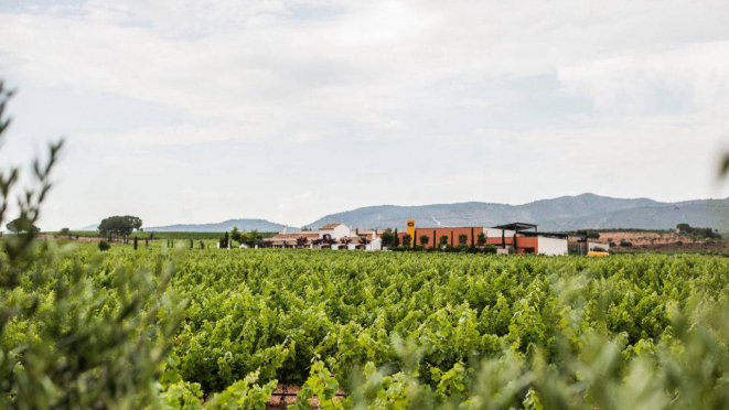 A Bodega Chozas Carrascal fica na região da Valencia, Espanha, com vinhedos de até 840m de altitude. 