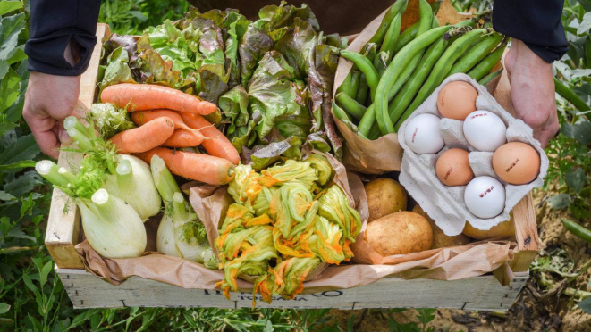 Desde maio, a horta do Borro passou a vender cestas de frutas e verduras produzidas na propriedade dos Ferragamo