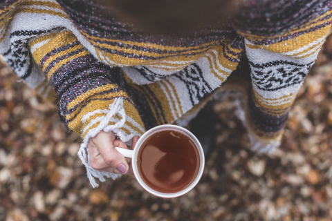 Chá-mate ganha dicionário sensorial com 39 atributos relativos à aparência, aroma, textura e sabor