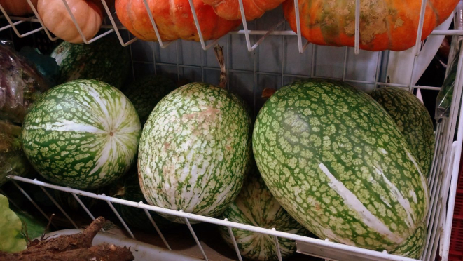 As gilas (primas da abóbora, mas com jeito de melancia) na prateleira da banca da Dona Isabel, no Mercado Municipal. 