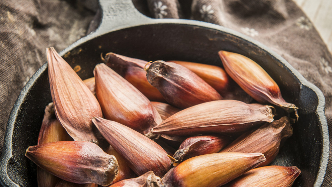 Com sabor característico,<br>porém suave, o pinhão pode ser acrescentado a<br>diversas receitas.