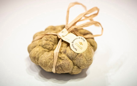 A Feira do Tartufo Branco será em outubro em Alba