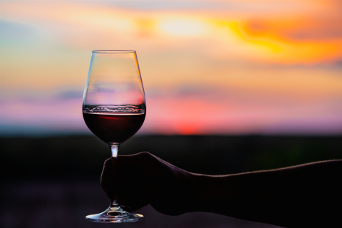 Vinícola Unus Mundus produz vinhos de variedades pouco conhecidas no Brasil