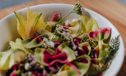 Quatro pratos com flores comestíveis para provar em Curitiba