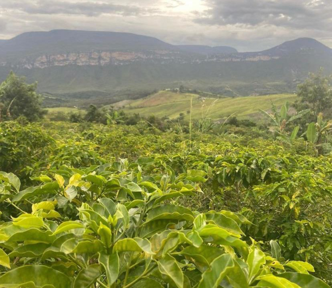 A propriedade de Leo Moço fica na Chapada Diamantina. Foto: Reprodução/Instagram