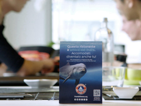 Aplicativo de restaurantes com produtos de pesca sustentável