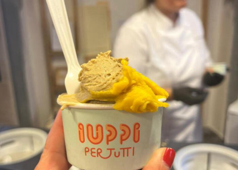 Startup italiana patenteia sorvete de fermentação de legumes