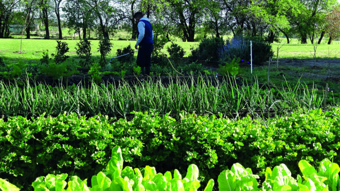 O restaurante fica no meio do campo e tem uma horta orgânica.