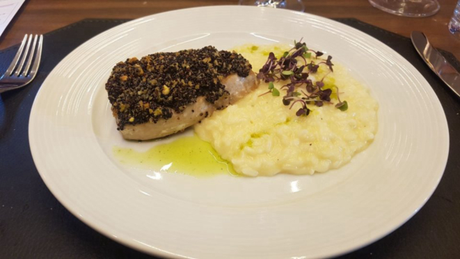 Marlim grelhado, com crosta de quinoa e pistache, acompanhado de risoto de limão siciliano - uma boa sugestão de prato principal