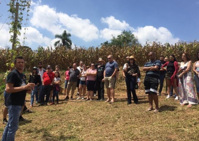 Na festa da colheita, visitantes conhecem a plantação e aprendem sobre o insumo. Foto:  Araucária Hops 