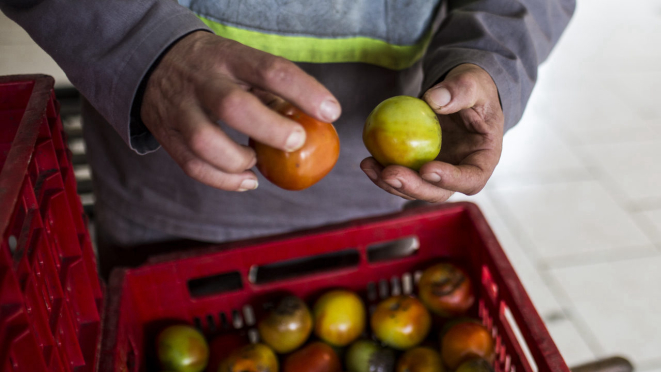 Alimentos produzidos em regiões próximas chegam mais frescos à mesa. 