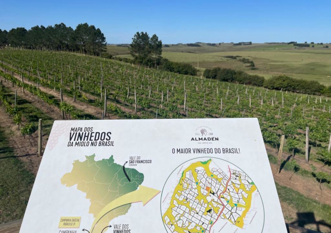 Vinícola Almadén.