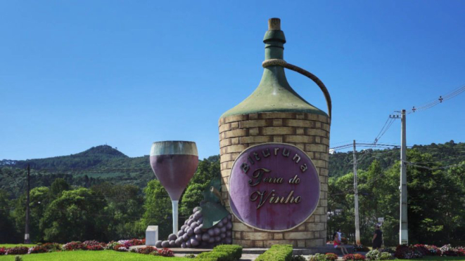 Bituruna é destaque no mercado brasileiro de vinhos com bebida feita com uvas casca dura. 