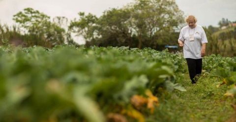 Em busca de dieta saudável? Saiba onde fica o melhor produtor local do estado