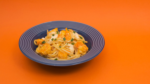 Macarrão ao molho de camarão com requeijão: confira essa receita simples e deliciosa