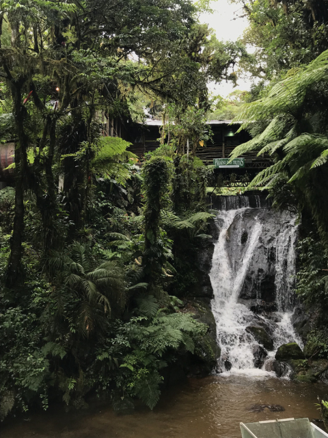 Paraíso das Trutas - Turismo Ecológico