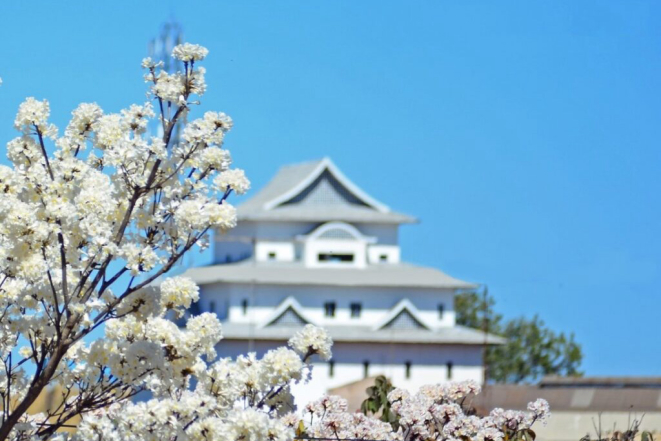 Em Assaí, muitos símbolos da imigração japonesa. Foto: Prefeitura de Assaí