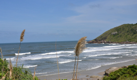 Melhor restaurante do litoral do Paraná: conheça o local ideal para curtir a culinária da região