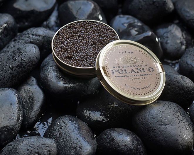 Dois tipos de caviar da Polanco Caviar Brasil serão servidos no Ile de France. | Foto: Divulgação