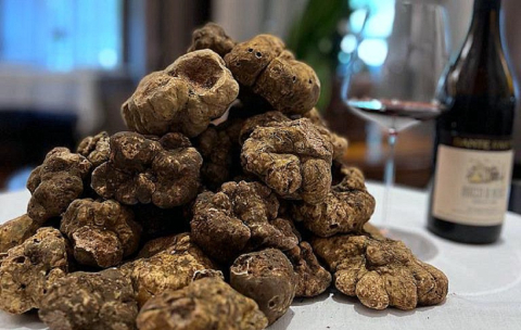 Começa o Festival del Tartufo Bianco d’Alba do Durski. O mais aguardado