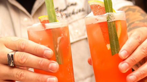 Ponto Gin promove evento com drinks à base de erva-mate; confira receita