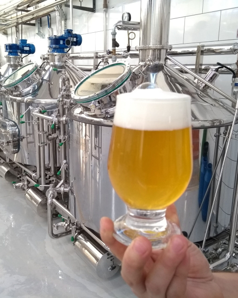 WaMaHoY Classic Beers