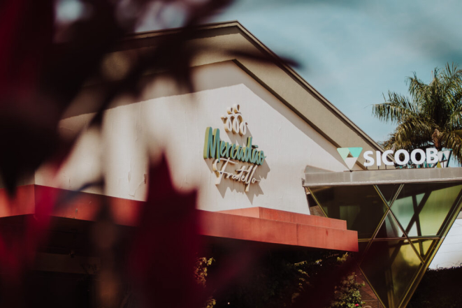 Crédito: divulgação