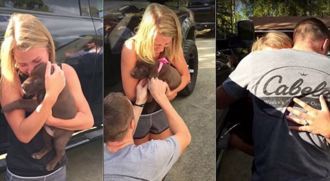 Homem entrega cãozinho com anel ao pedir namorada em casamento; assista