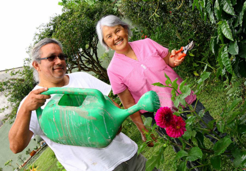 Benefícios da jardinagem para quem passou dos 50 anos