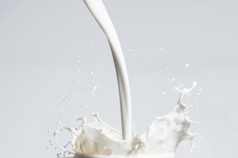 Teste facilita diagnóstico de intolerância ao leite