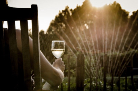 Uma taça de vinho equivale a uma hora na academia?