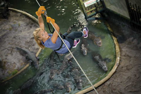 Na Flórida, a adrenalina da tirolesa sobre crocodilos e jacarés
