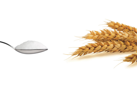 Açúcar e glúten não entram