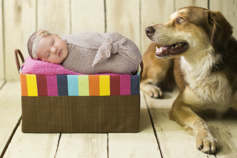 Nova técnica de ensaios newborn captura o bebê com seu melhor amigo