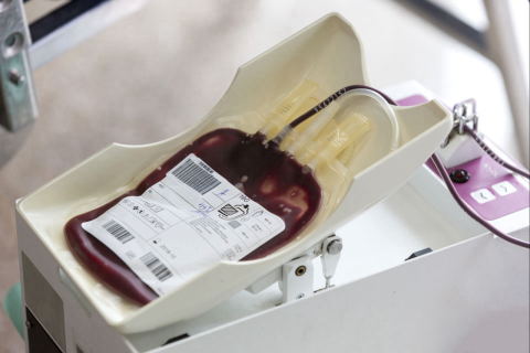 Tudo o que você precisa saber para ser um doador de sangue e salvar vidas